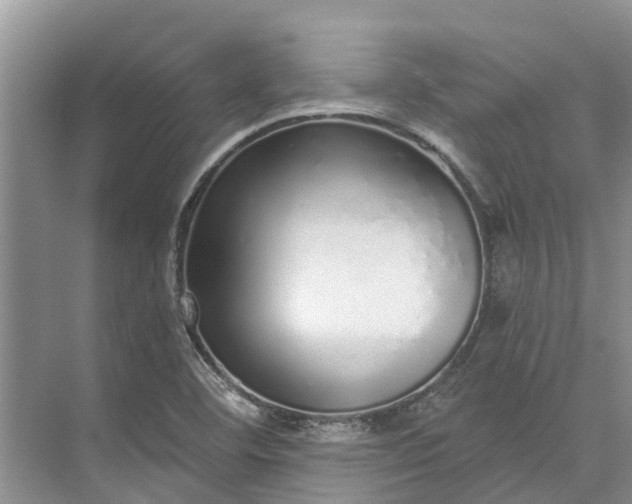 X0000072941460200608041229