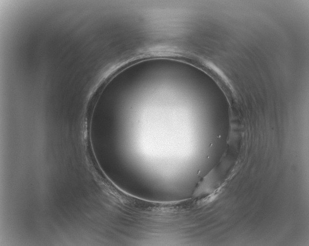 X0000072941461200608041229