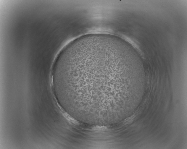 X0000072941462200608041229