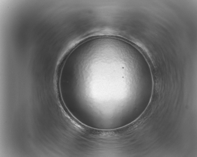 X0000072941464200608041229