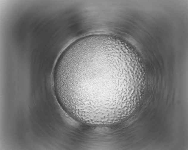 X0000072941466200608041229