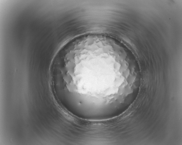 X0000072941467200608041229