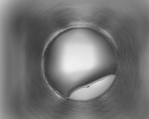 X0000072941472200608041229