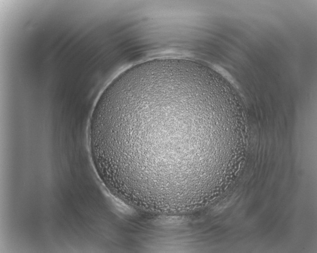 X0000072941474200608041229