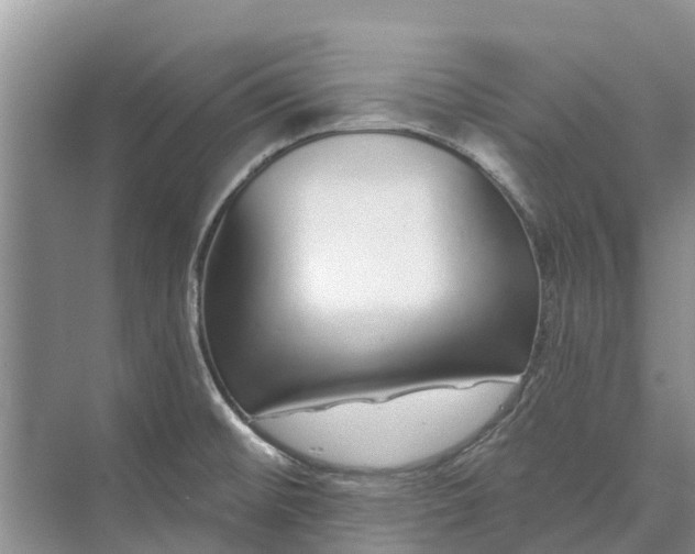 X0000072941476200608041229