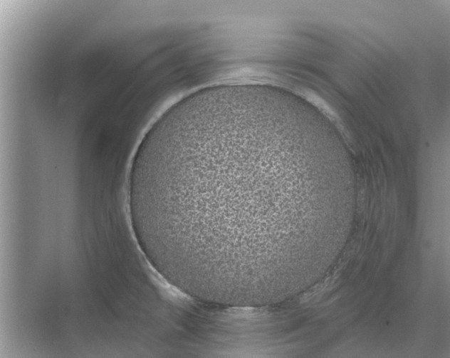 X0000072941478200608041229