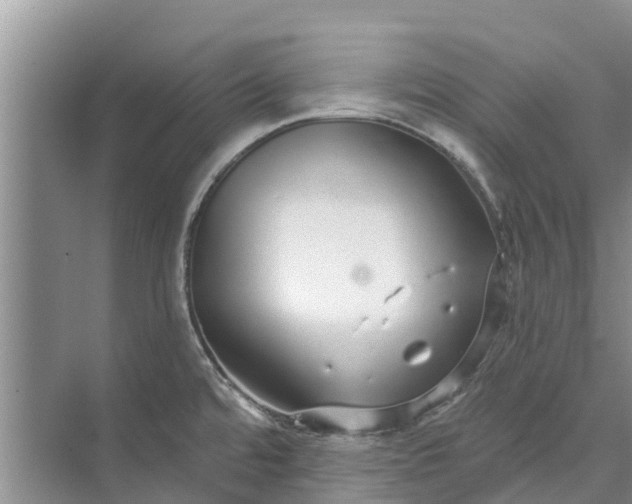 X0000072941480200608041229