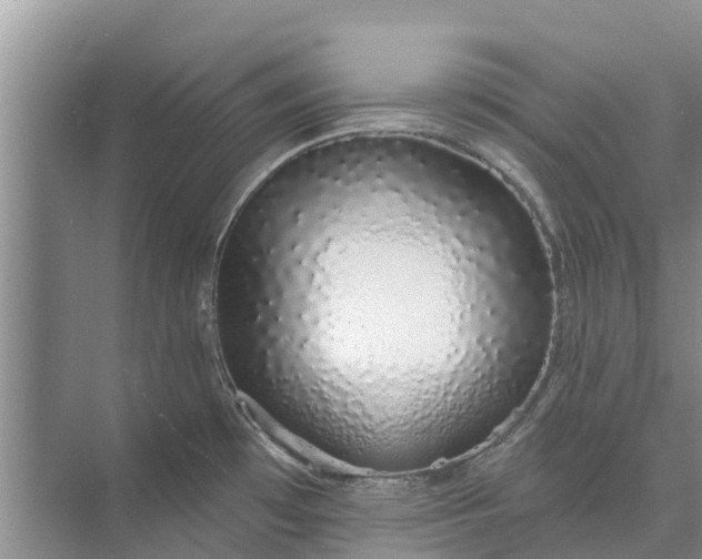 X0000072941481200608041229