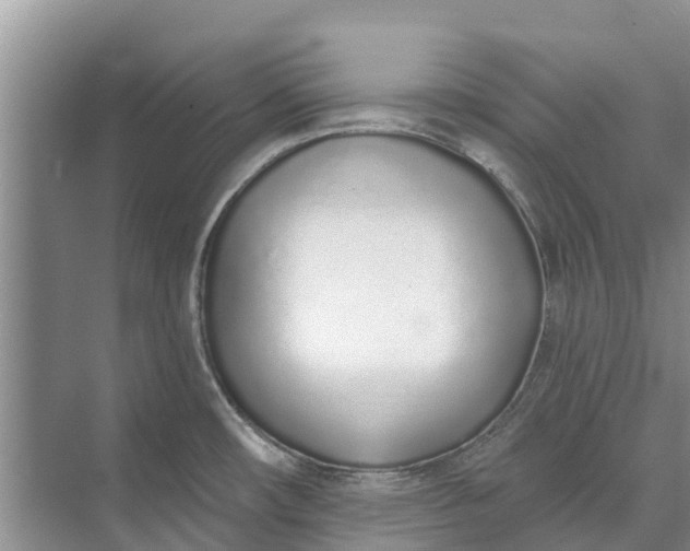 X0000072941482200608041229