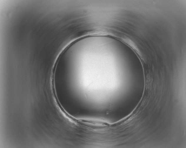 X0000072941484200608041229