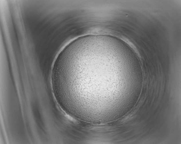 X0000072941486200608041229