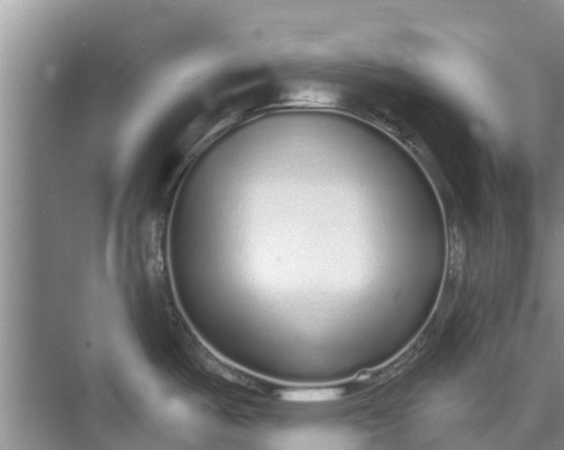 X0000072941487200608041229