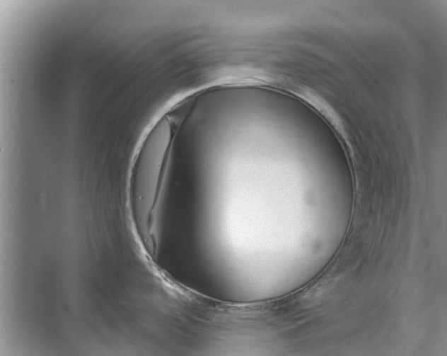 X0000072941488200608041229