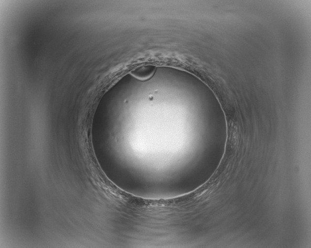 X0000072941489200608041228