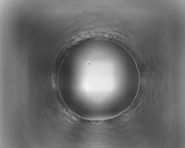 X0000072941490200608041228