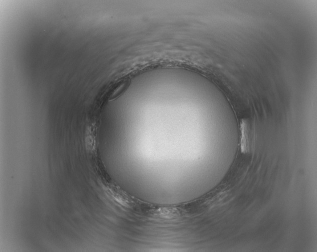 X0000072941491200608041228