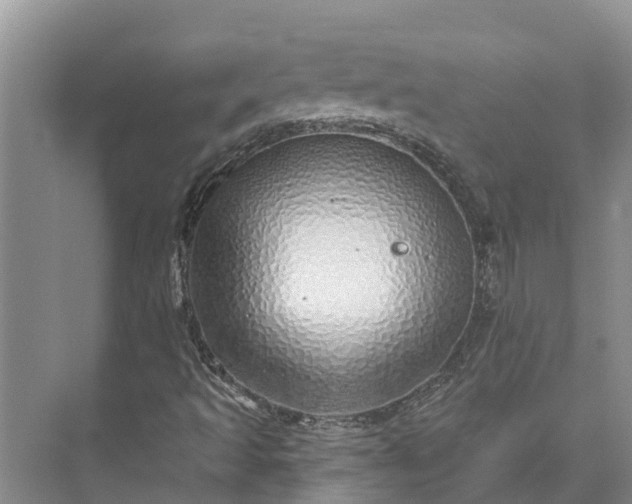 X0000072941493200608041228