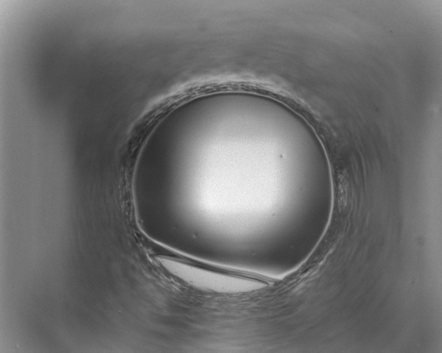 X0000072941494200608041228