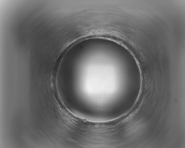 X0000072941497200608041228