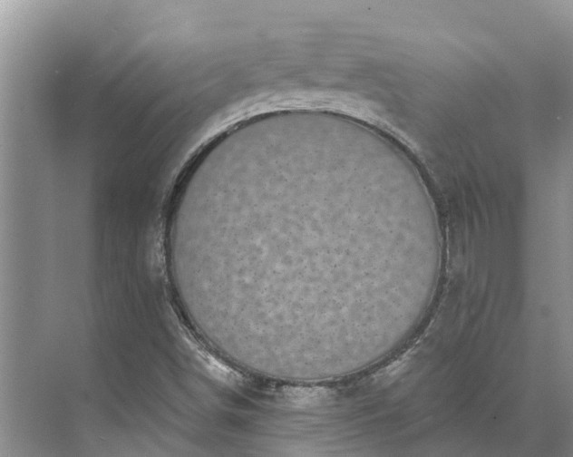 X0000072941498200608041228