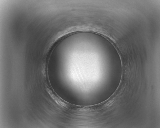 X0000072941499200608041228