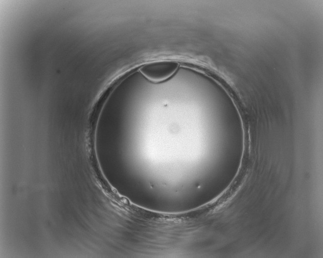 X0000072941501200608041228