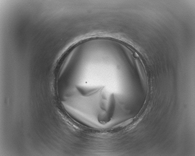 X0000072941502200608041228