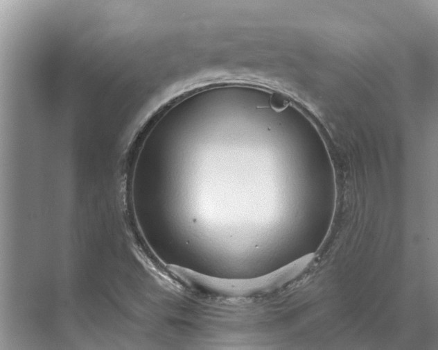 X0000072941503200608041228