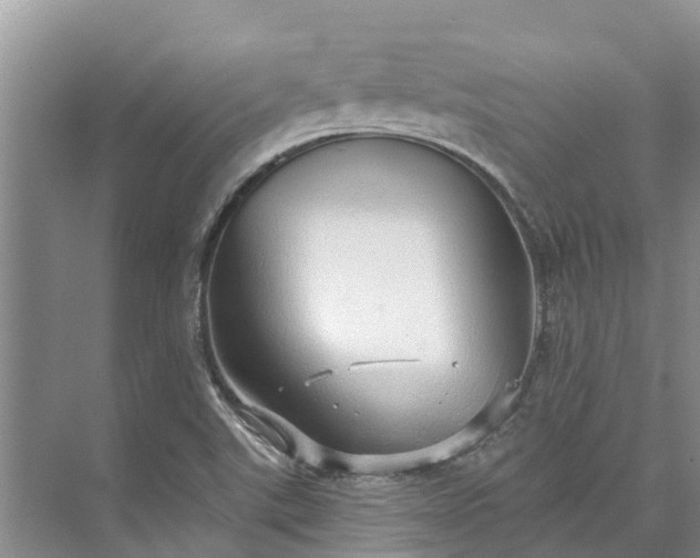 X0000072941507200608041228