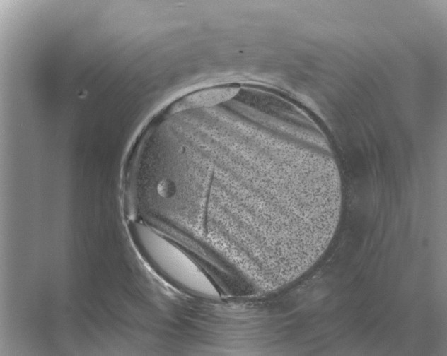 X0000072941508200608041228