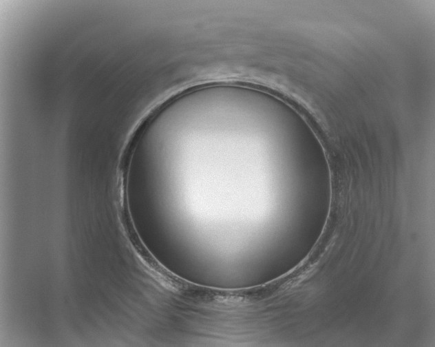 X0000072941509200608041228