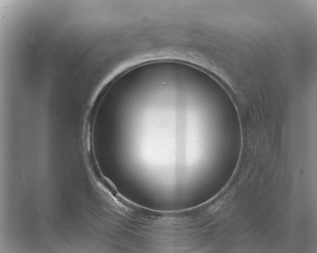 X0000072941510200608041228