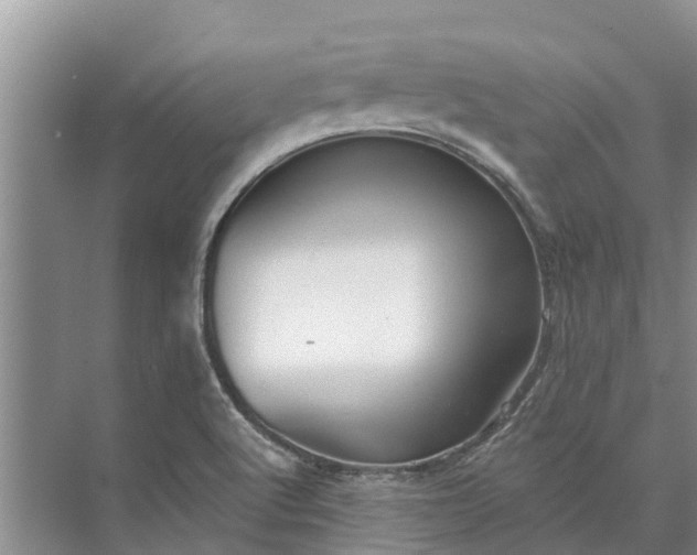 X0000072941512200608041228