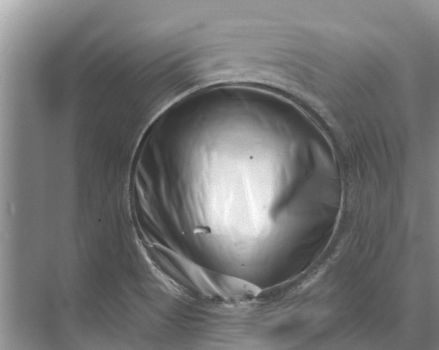 X0000072941513200608041228