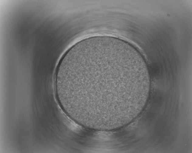 X0000072941514200608041228