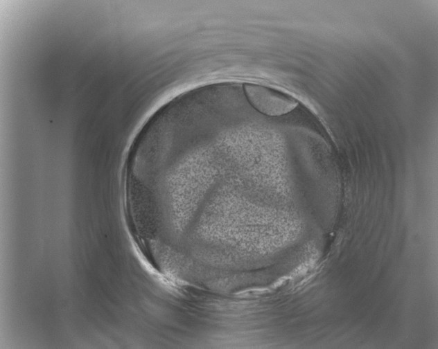 X0000072941515200608041228