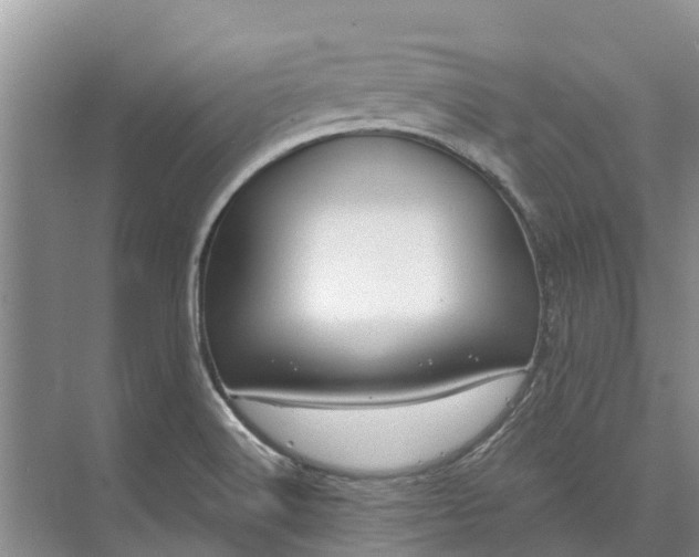 X0000072941516200608041228