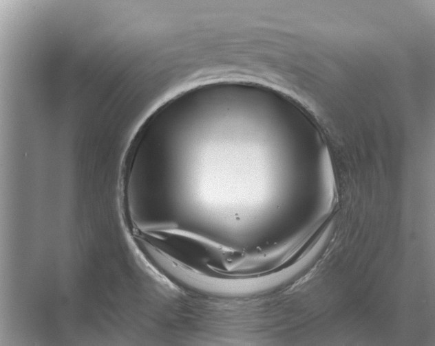 X0000072941518200608041228