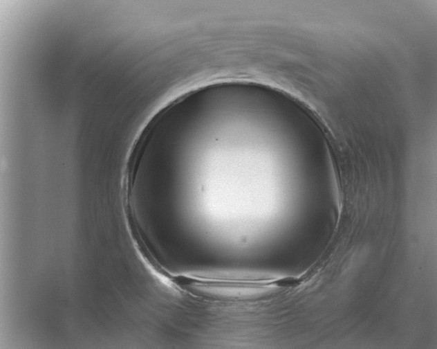 X0000072941519200608041228