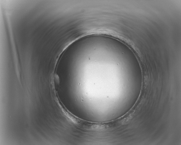 X0000072941521200608041229