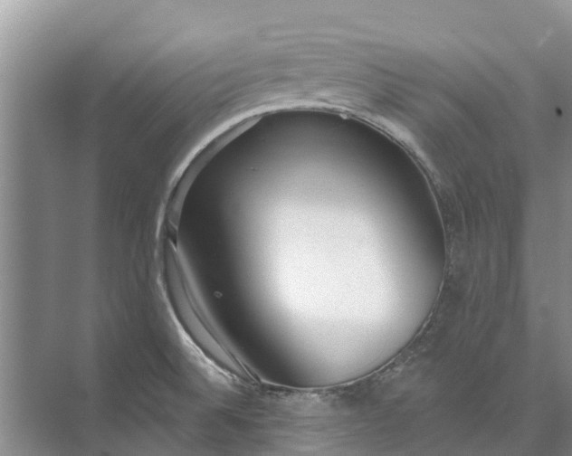 X0000072941524200608041229