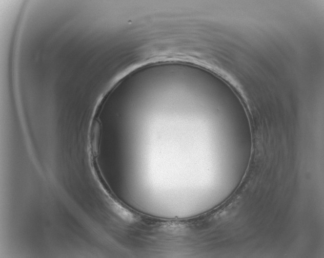 X0000072941525200608041229