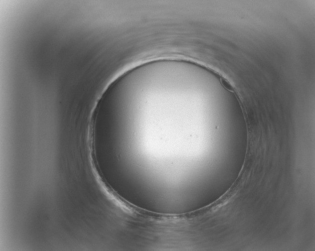 X0000072941526200608041229