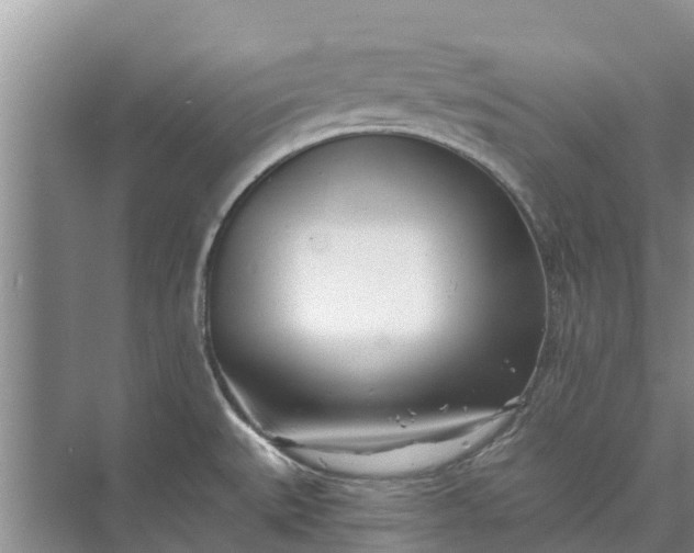 X0000072941527200608041229