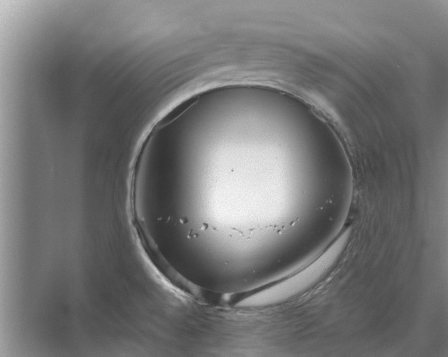 X0000072941528200608041229