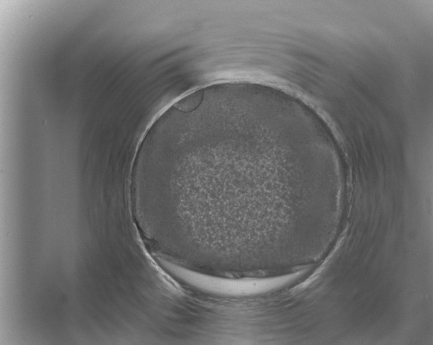 X0000072941529200608041229