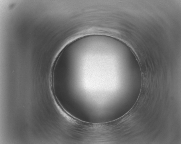 X0000072941531200608041229