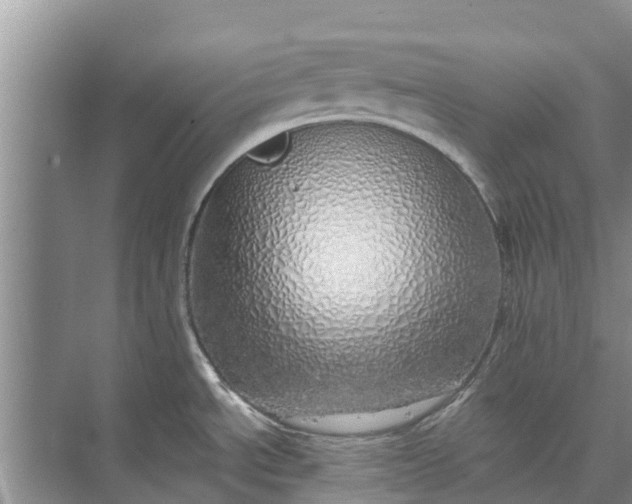 X0000072941534200608041229