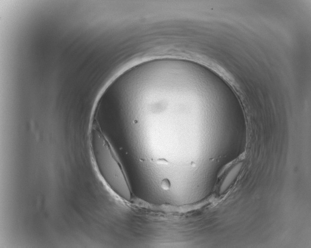 X0000072941536200608041229