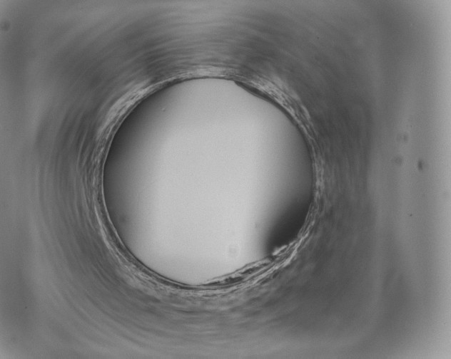 X0000072940001200608111612